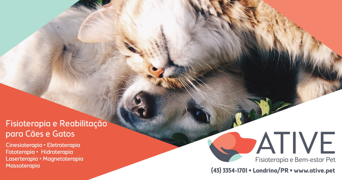 Ative Fisioterapia e Bem-estar Pet