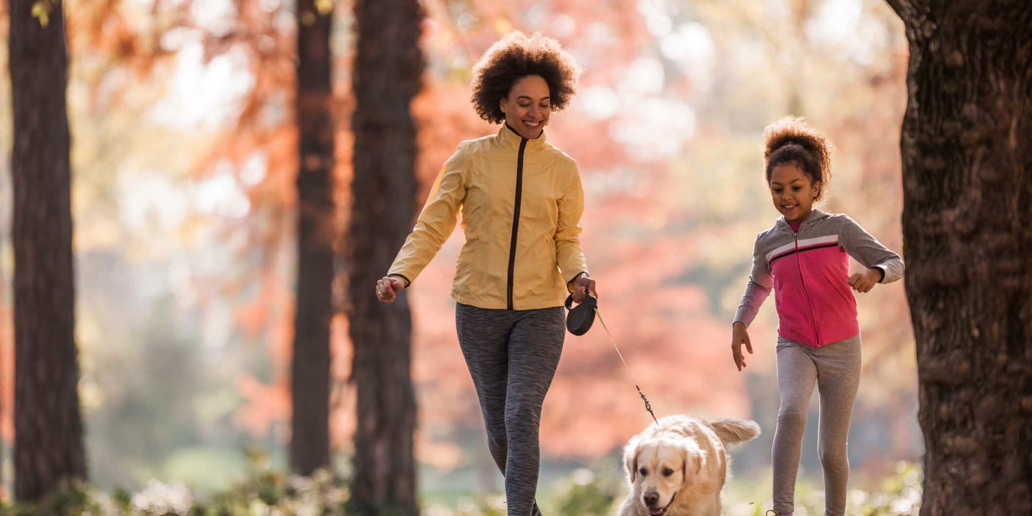 exercícios para cachorro