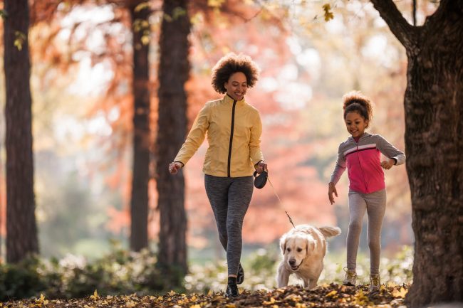 exercícios para cachorro