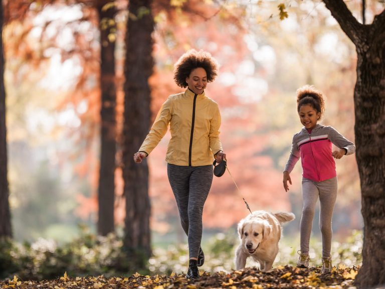 exercícios para cachorro