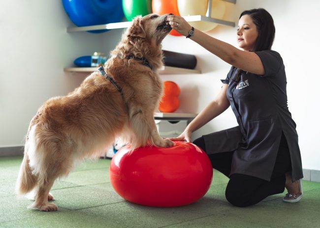 o que é cinesioterapia