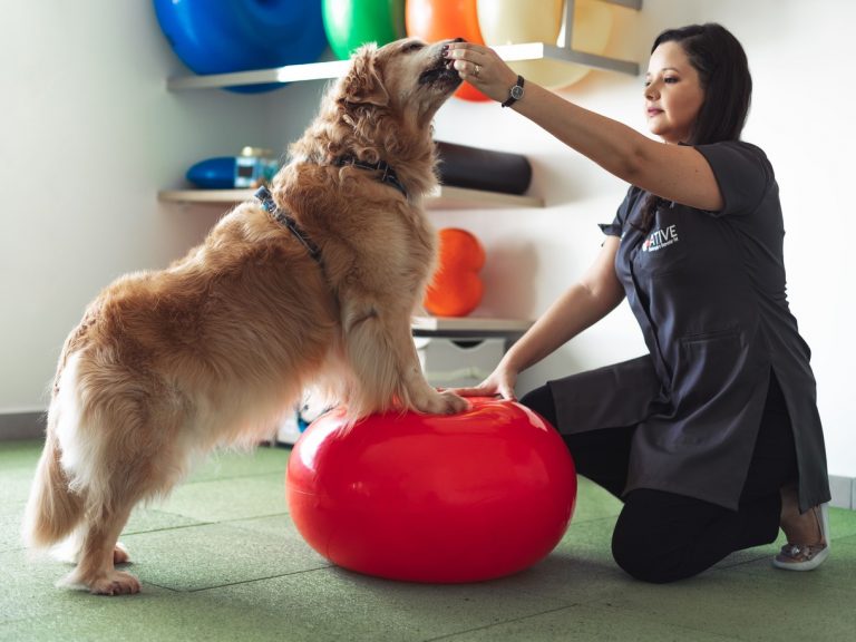 o que é cinesioterapia
