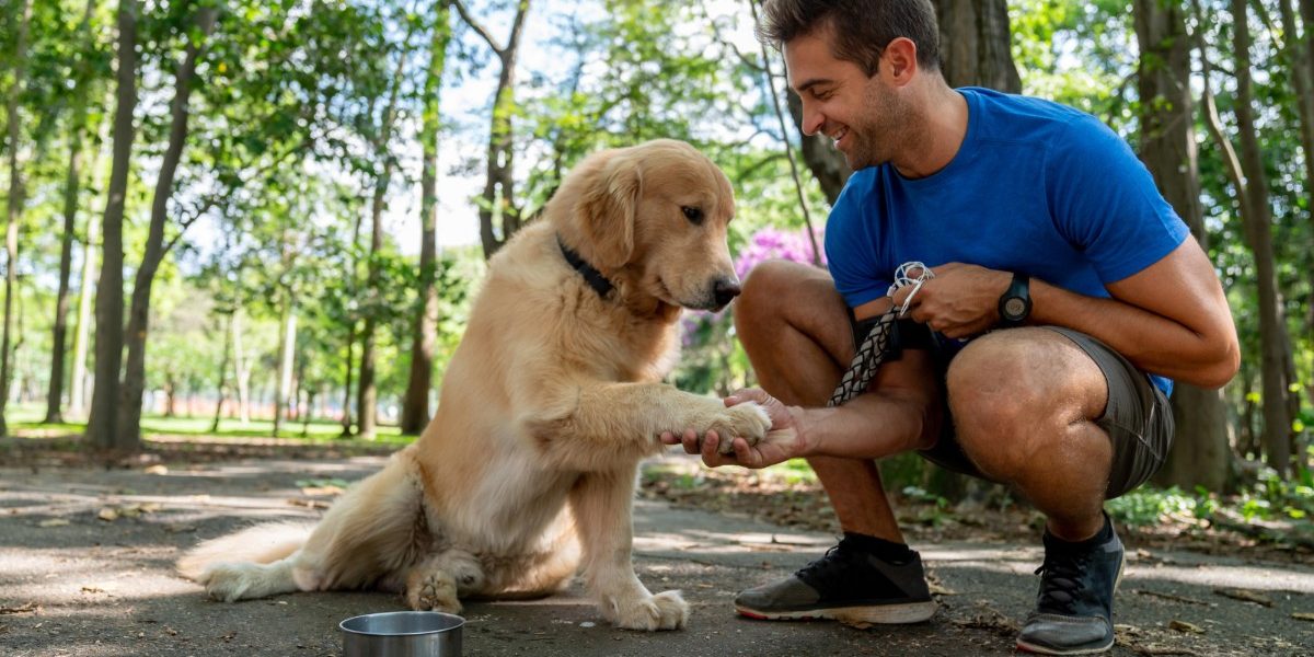 Brincadeira para cachorro: conheça as 6 melhores!