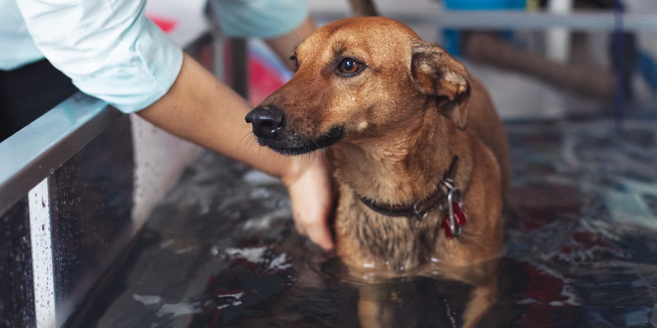 o que é hidroterapia