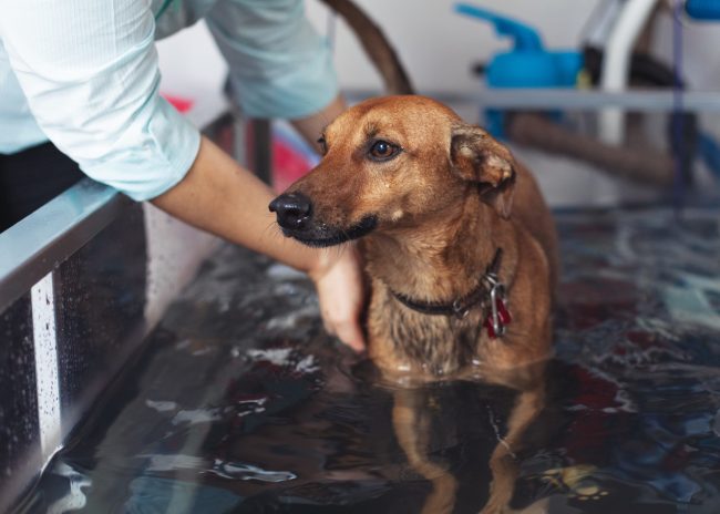 o que é hidroterapia