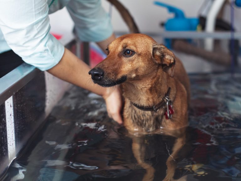 o que é hidroterapia