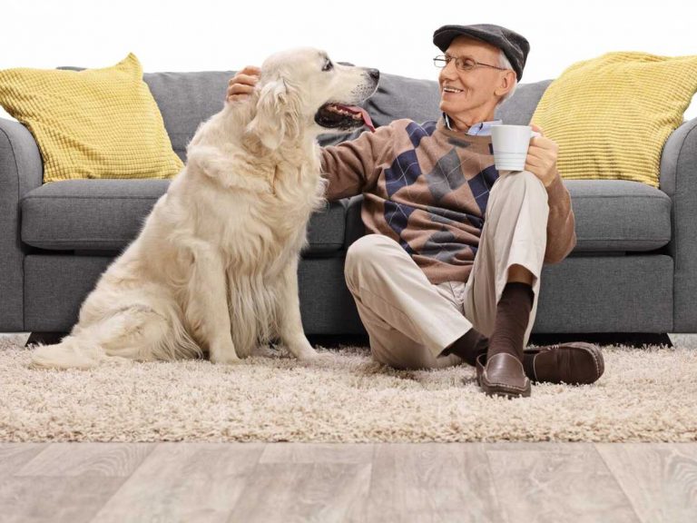 idoso brincando com seu animal de estimação