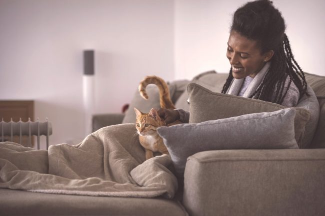 Cuidados com gato fêmea