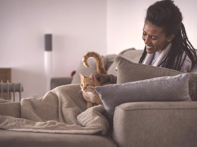 Cuidados com gato fêmea