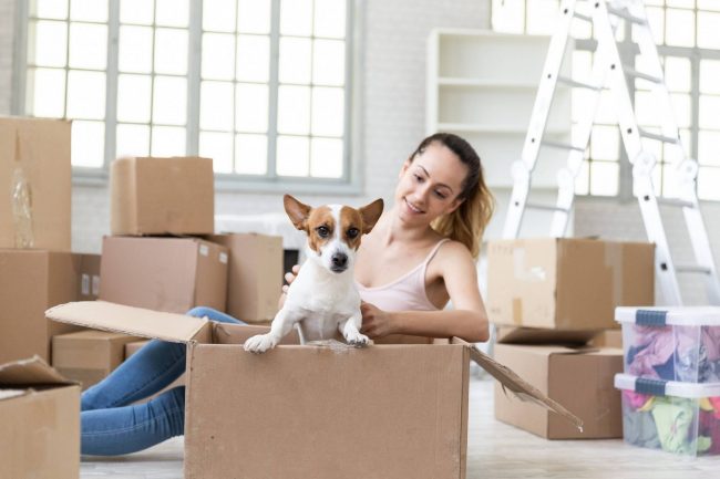 animais de estimação na mudança