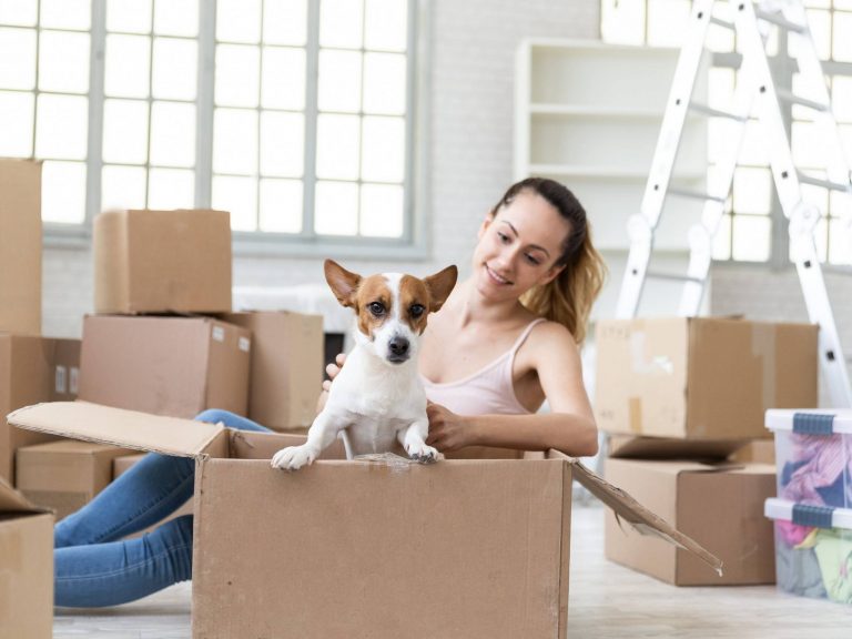 animais de estimação na mudança