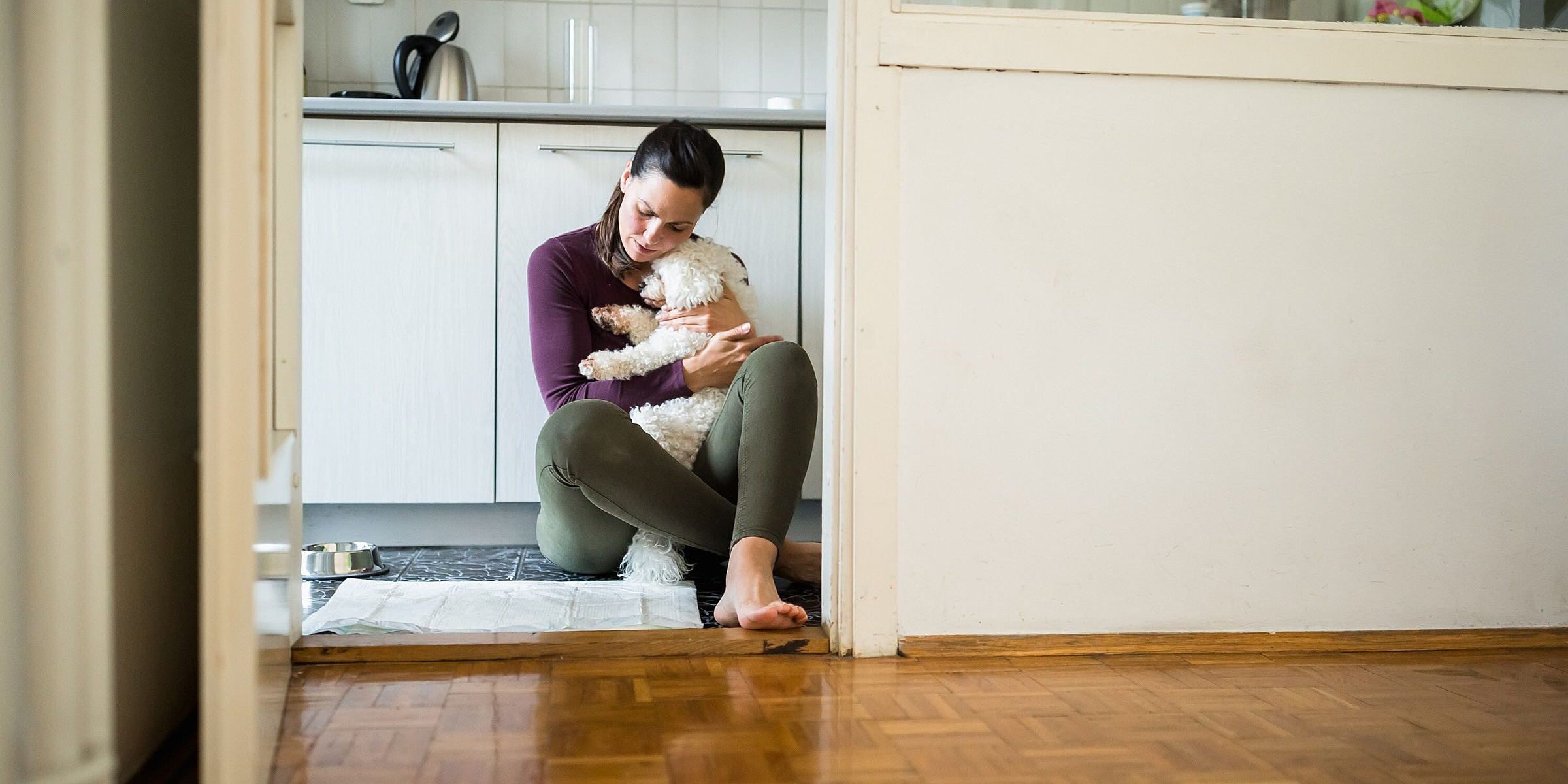 Cães com medo de fogos