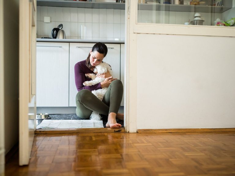 Cães com medo de fogos
