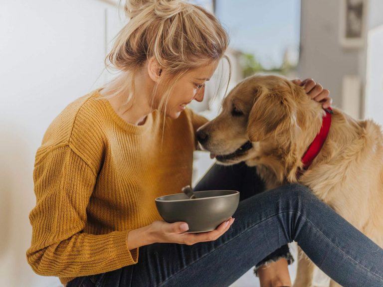 Alimentação natural