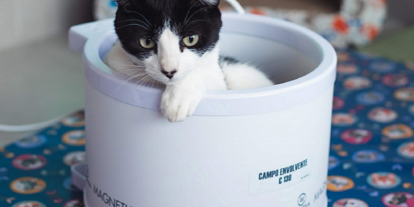 o que é magnetoterapia