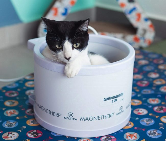 o que é magnetoterapia