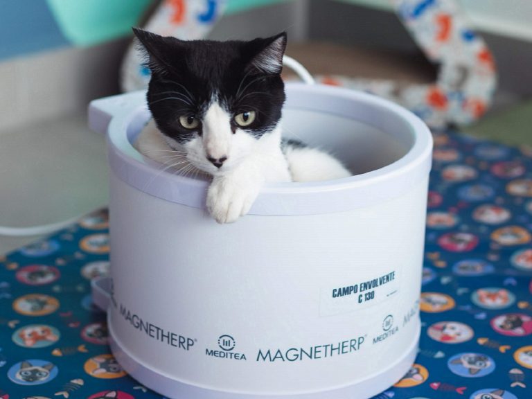 o que é magnetoterapia